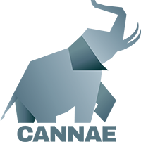 Logo featuring strong and active gray elephant